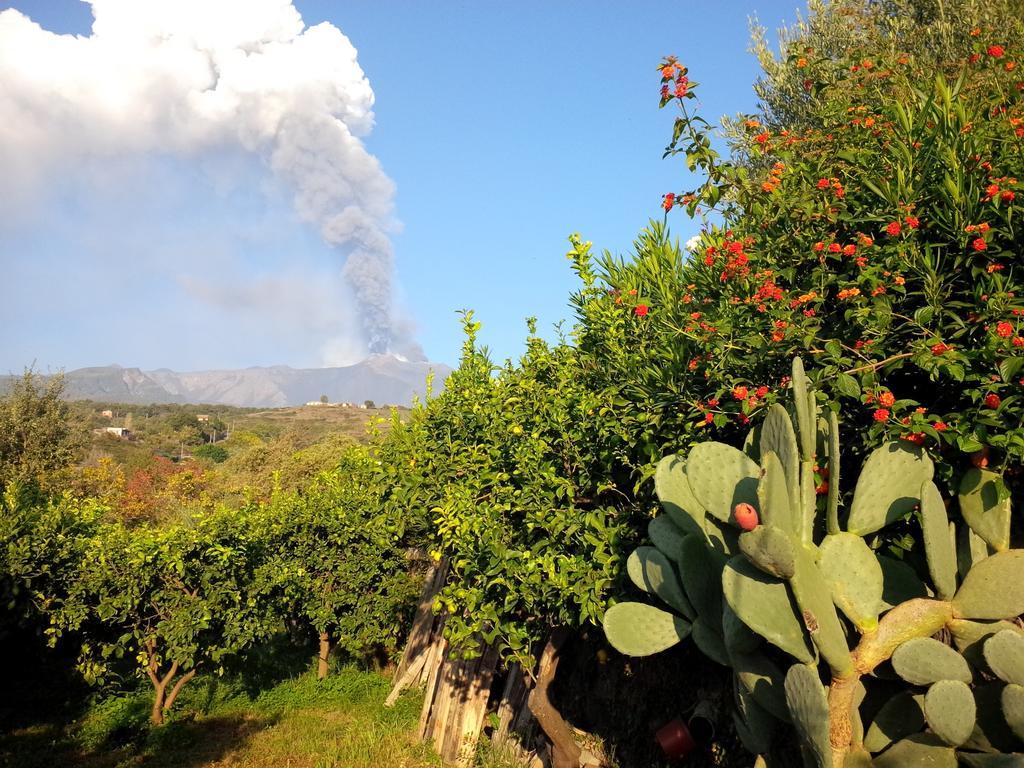 Le Case Di Bacco Santa Venerina Oda fotoğraf