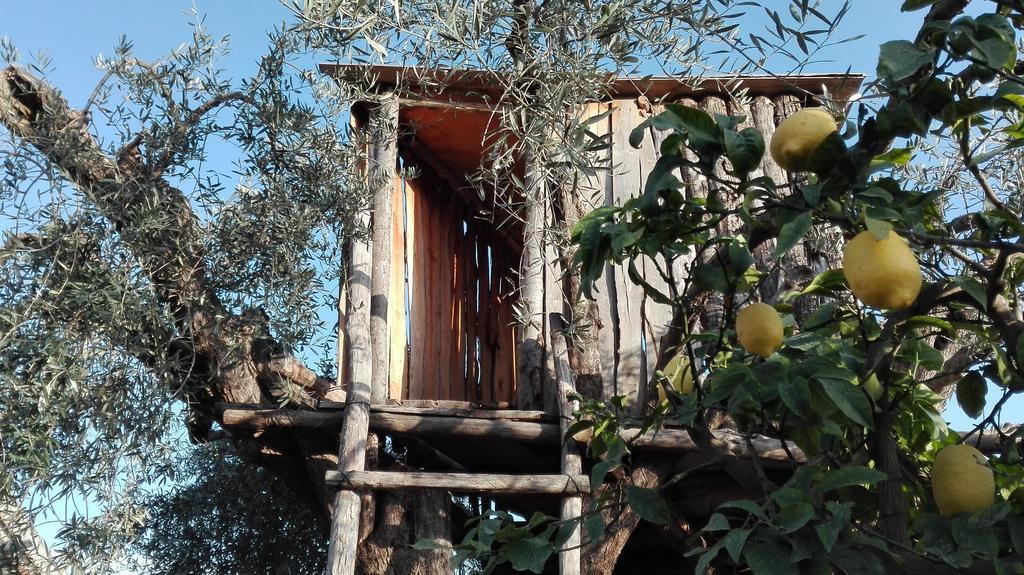 Le Case Di Bacco Santa Venerina Dış mekan fotoğraf