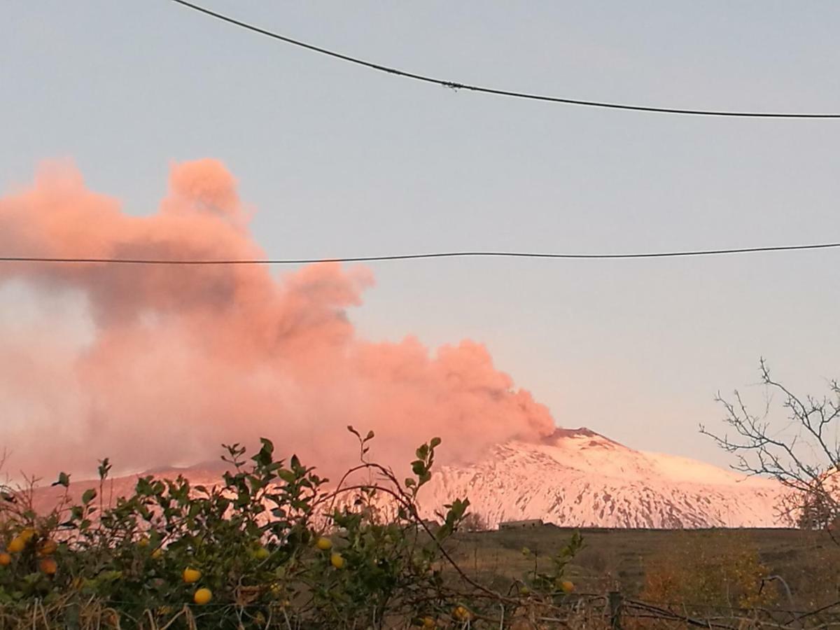 Le Case Di Bacco Santa Venerina Dış mekan fotoğraf